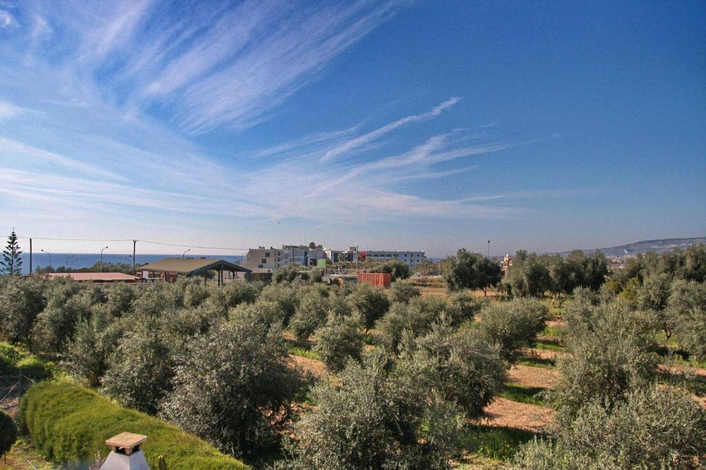 Villa Paradise Paphos Buitenkant foto