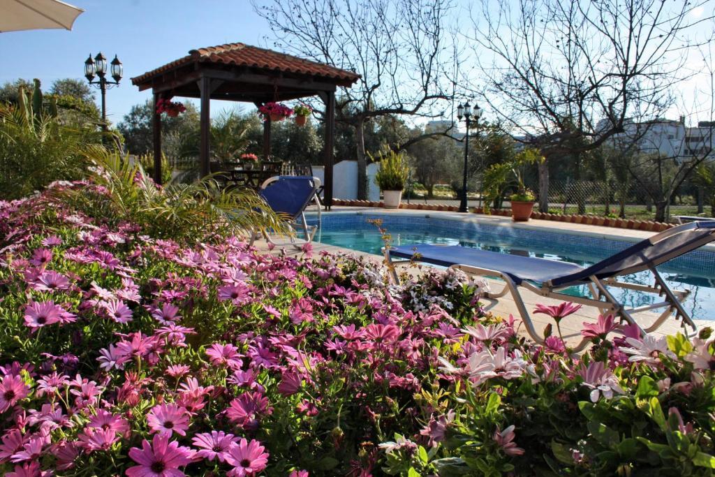 Villa Paradise Paphos Kamer foto